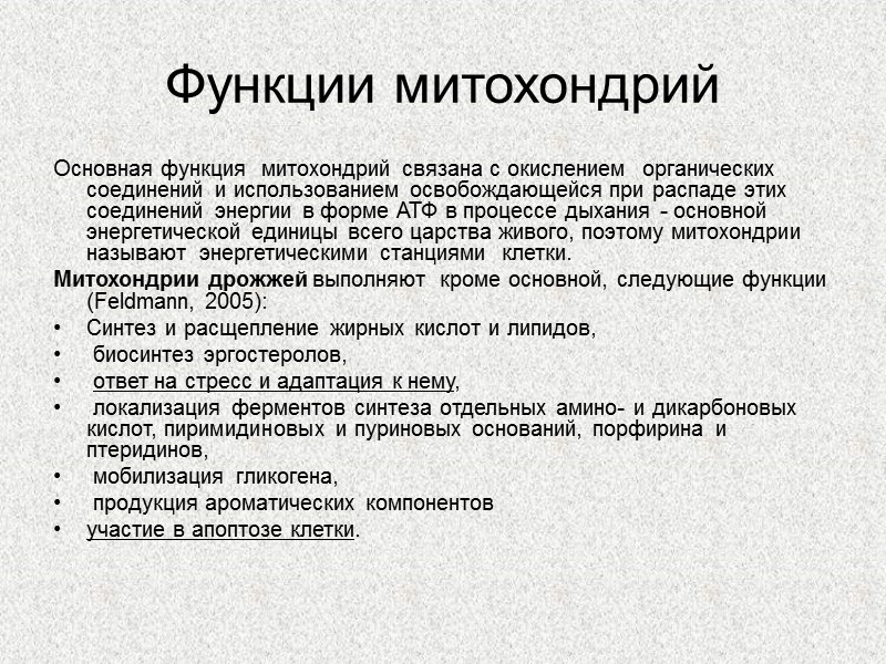 Функции митохондрий Основная функция  митохондрий связана с окислением  органических соединений и использованием